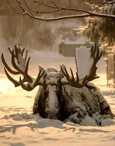 a large moose statue sitting in the snow