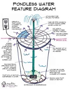 an image of a water feature diagram with words describing the features and functions in it