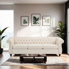 a living room with a white couch and two plants on the wall next to it