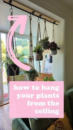 a living room with plants hanging from the ceiling and text overlay that reads how to hang your plants from the ceiling