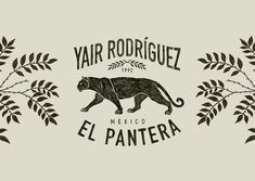 a black and white drawing of an animal on a branch with the words yar rodriguez mexico el pantera