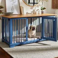 a small dog sitting in a blue gated pet pen on top of a rug