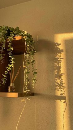 a potted plant sitting on top of a wooden shelf next to a wall mounted mirror