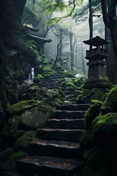 moss covered steps lead up to a shrine in the woods, surrounded by trees and rocks