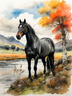 a painting of a black horse standing in front of a lake with trees and mountains behind it