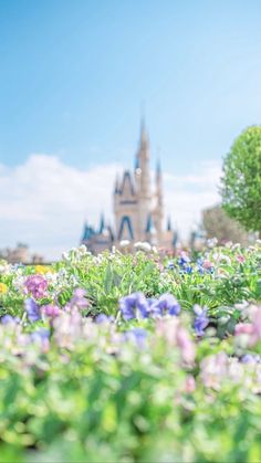 the castle is in the background with flowers all around it