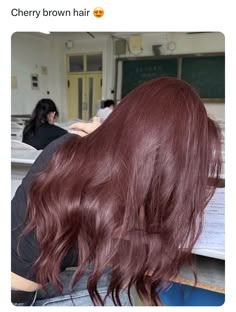 Hair Dye For Green Eyes, Red Hair On Light Brown Hair, Deep Cherry Red Hair Ombre, Burgundy Henna Hair, Warm Burgundy Hair Color, Cool Tone Skin Hair Color, Red Hair Tint, Light Cherry Brown Hair, Mahagoni Hair Color