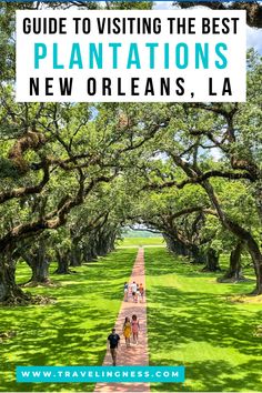 Looking down at a people walking on a path between two rows of huge oak trees that form a canopy on a plantation near New Orleans, Louisiana. New Orleans Beach, New Orleans Plantations, Luxury Mansions, Louisiana Usa, Halloween Travel