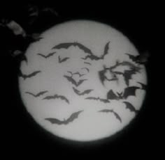 the bats are flying in front of the full moon with black and white lighting behind them