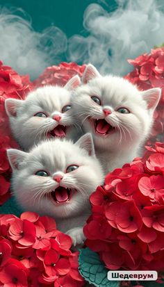 three white kittens with their mouths open surrounded by red flowers