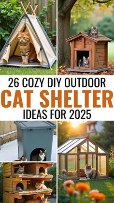 cat shelter made out of wooden pallets with cats in it and the words 26 cozy diy outdoor cat shelter ideas for 205