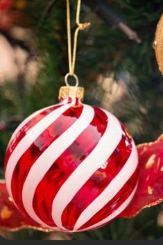 a red and white striped ornament hanging from a christmas tree with gold ribbon