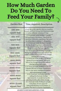 a garden with the text how much garden do you need to feed your family?