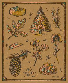 a scarf with different types of plants and trees on it, including pine cones, flowers, and leaves