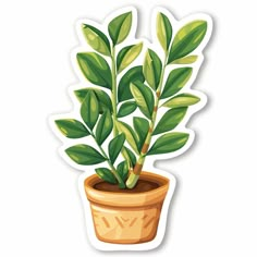 a potted plant with green leaves sticker on the side of it's face