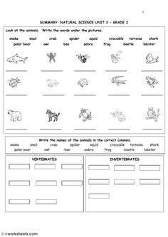 the worksheet for an animal science unit with animals and plants on each page