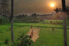 people are playing baseball in the field at sunset or sunrise time as the sun sets