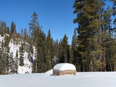 there is a small hut in the middle of the snow covered field with trees around it