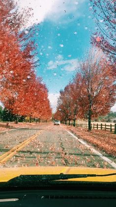 an image taken from the inside of a car looking at trees with red leaves on them