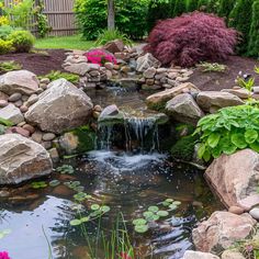 a small pond surrounded by rocks and water lilies