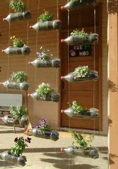 hanging flower pots on the side of a building with flowers in them and other plants