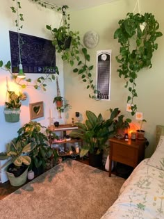 a bedroom with plants hanging on the wall