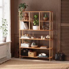 a wooden shelf filled with books next to a potted plant on top of a window sill