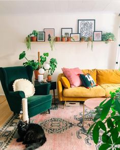 a living room filled with furniture and plants