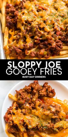 sloppy joe and cheesy fries on a white plate with the title above it