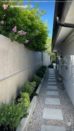 a long narrow walkway is lined with plants and rocks, leading up to the side of a house