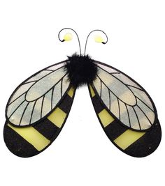 a close up of a butterfly on a white background