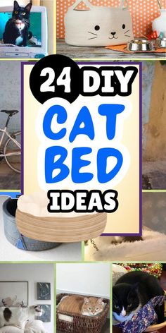 there are many different pictures with cats in them and the caption reads, 24 diy cat bed ideas