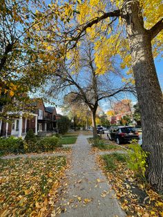 an autumn scene with leaves on the ground and trees in the foreground, looking down a sidewalk