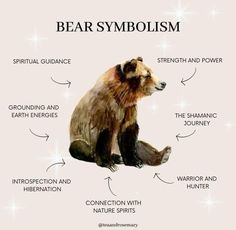 the bear is labeled with its different parts in it's body and description below