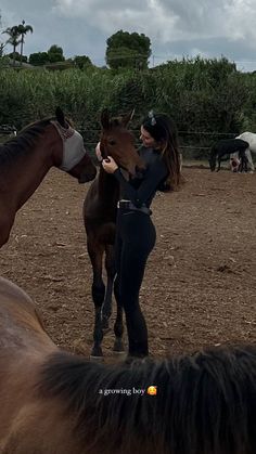 a woman standing next to two brown horses