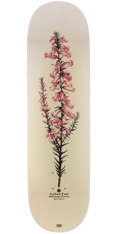 a skateboard with pink flowers painted on the front and bottom side, against a white background