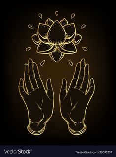 two hands holding a lotus flower on a dark background