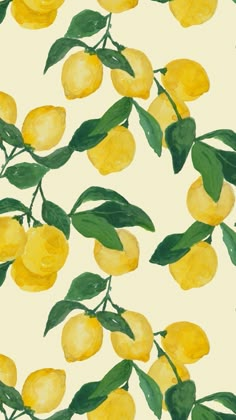 a painting of lemons with green leaves on a white background that looks like watercolor