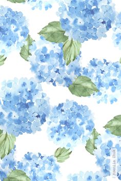 watercolor painting of blue hydrangea flowers on white background with green leafy stems