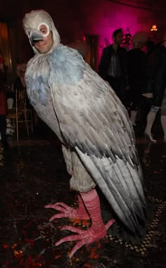 a large bird standing on top of a wooden floor next to a pink light in a room