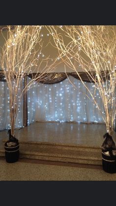 lighted trees in front of a stage with curtains and lights behind them, on the dance floor