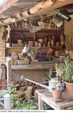 pots and pans are stacked on the shelves in this garden shop, which is filled with potted plants