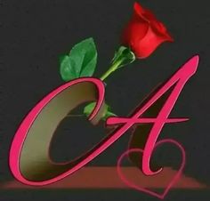 a red rose sitting in a vase with the letter a on it's side