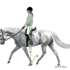 a woman riding on the back of a white horse next to a green and blue marker