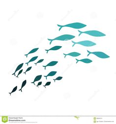 a flock of fish swimming in the ocean stock photo - image 349784