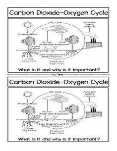 the carbon cycle worksheet with two diagrams on how it is made and what to do