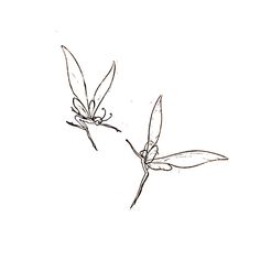 Fairy Doodle Tattoo, Fairy Sketch Tattoo, Fairy Doodle Aesthetic, Protect Peace Tattoo, Fairy Tattoo Collarbone, Tattoo Of Freedom, Dainty Dragon Fly Tattoo, Fairy Wrist Tattoo, Fairy Tattoo Shoulder