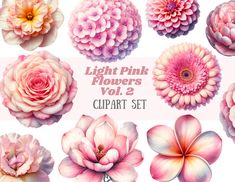 pink flowers clipart set with different types and colors for use in the design of greeting cards or scrapbooking