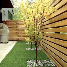 a small tree is in the grass next to a wooden fence and grilling area