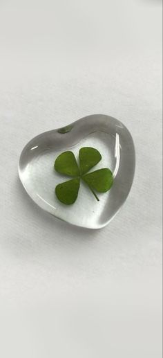 a four leaf clover in a glass dish